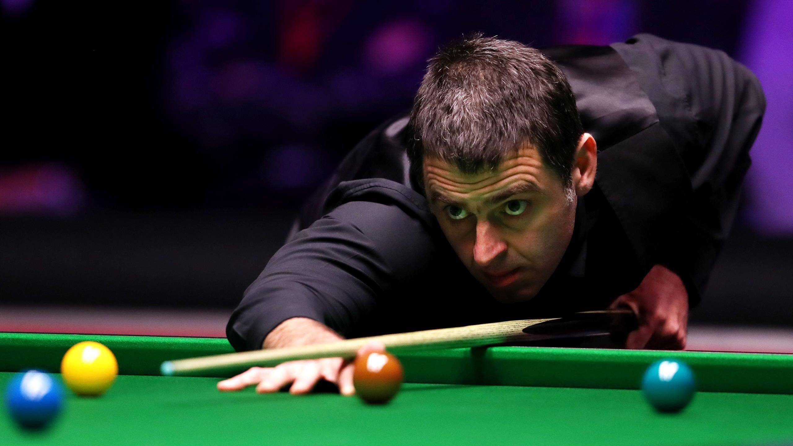 他们不仅为 他们不仅为