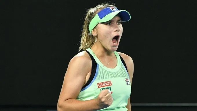 引入新援 引入新援