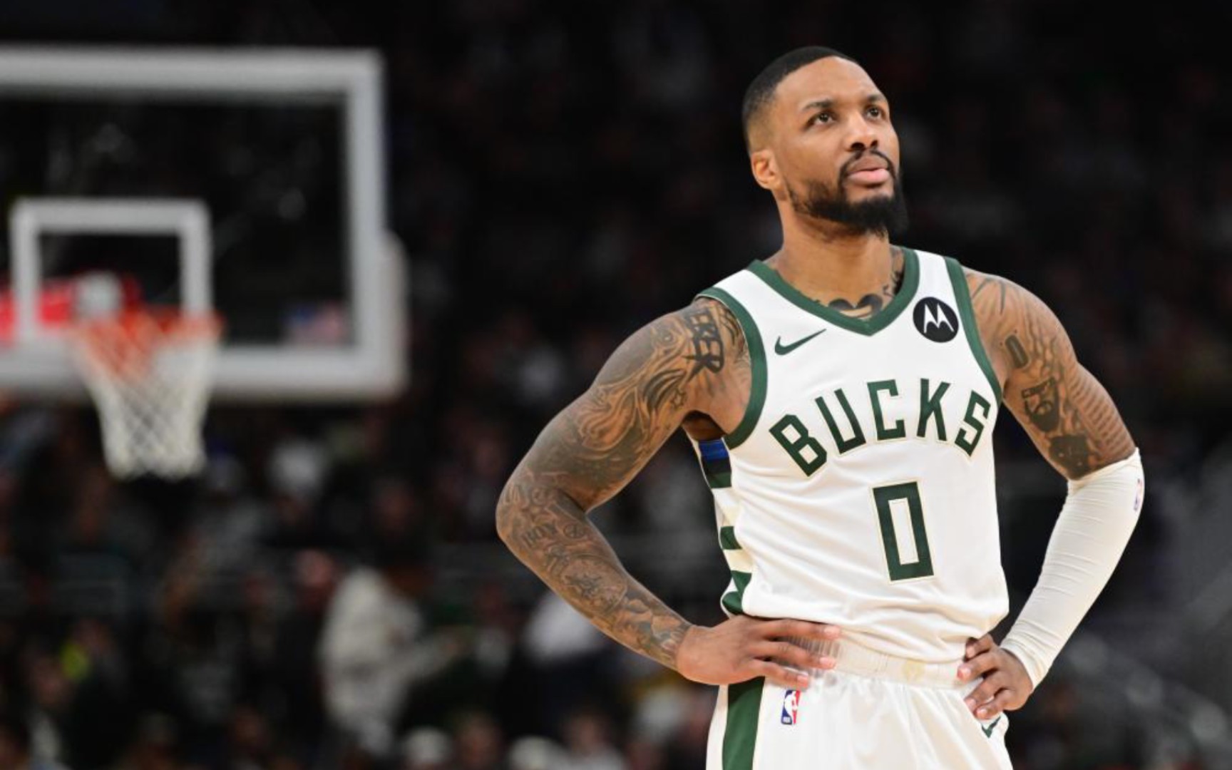 手不仅在国 手不仅在国