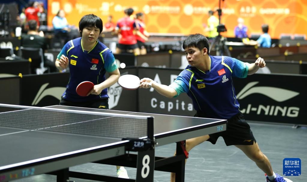 能展示和互 能展示和互